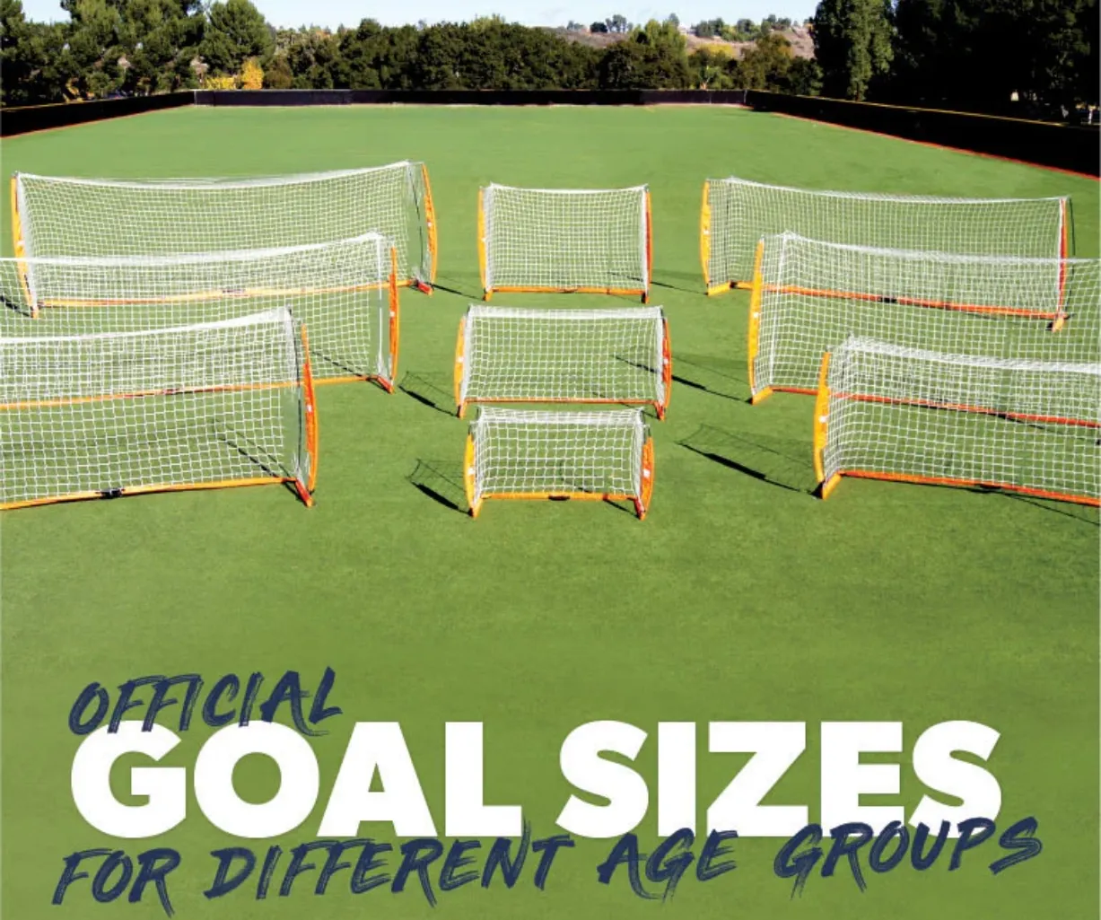 What are the official goal sizes for ages in Soccer, Futsal, Tennis, Hockey, Volleyball and more