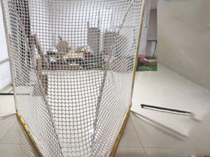 Indoor Outdoor Training Lacrosse Hockey Goal