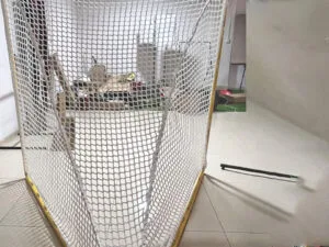 Golo de treino de Lacrosse e Hóquei para interior e exterior