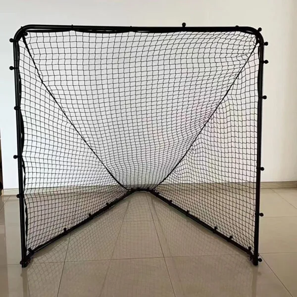 Professional Lacrosse Goal