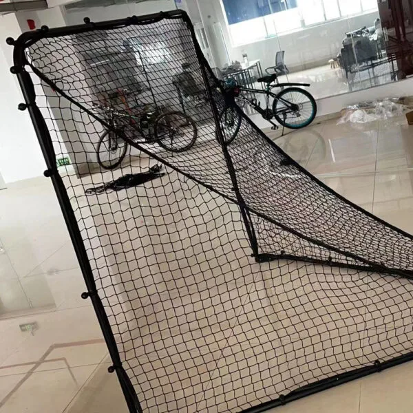 Professional Lacrosse Goal