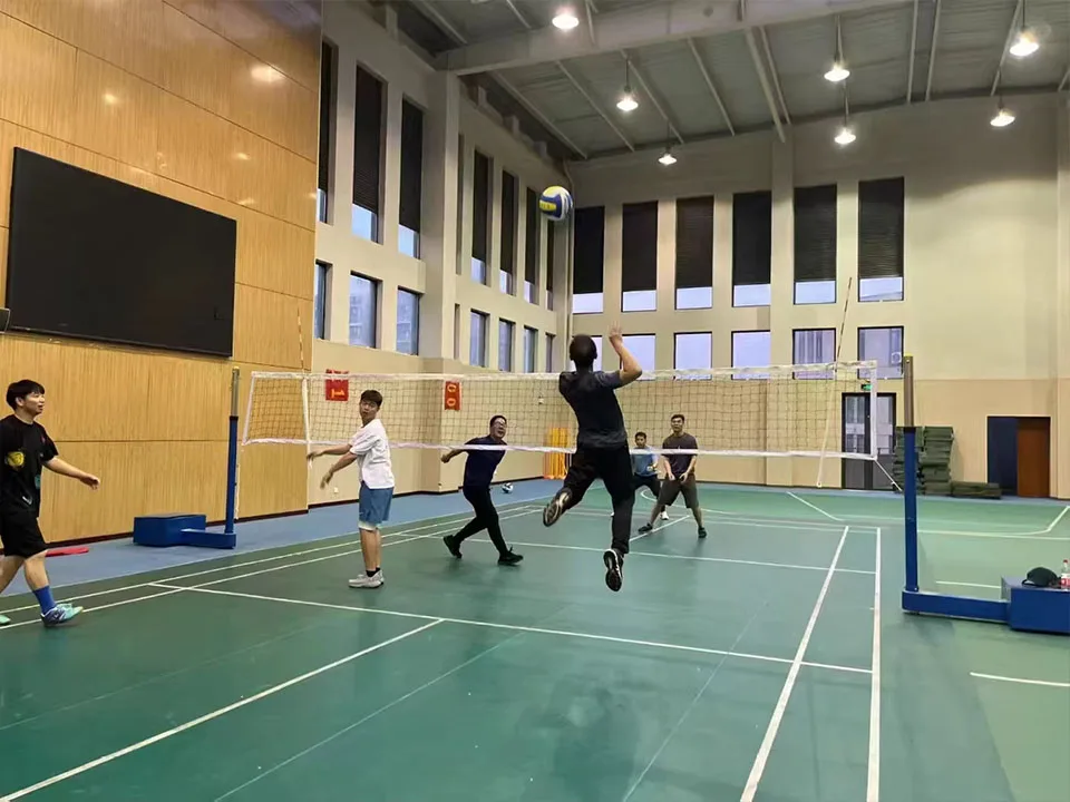 Filet de volley-ball au prix d'usine