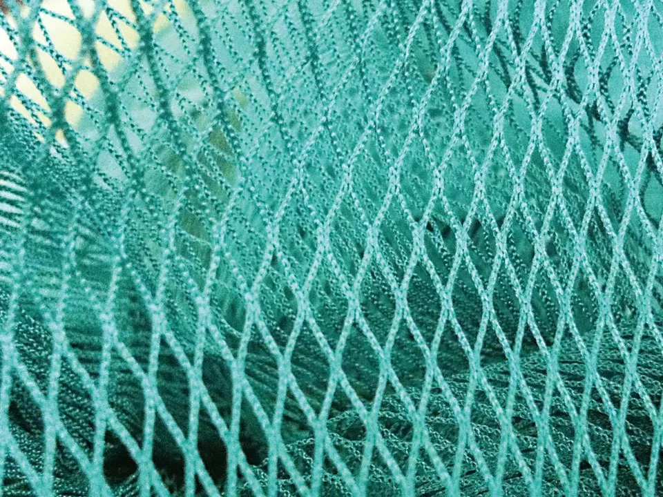 Net Series