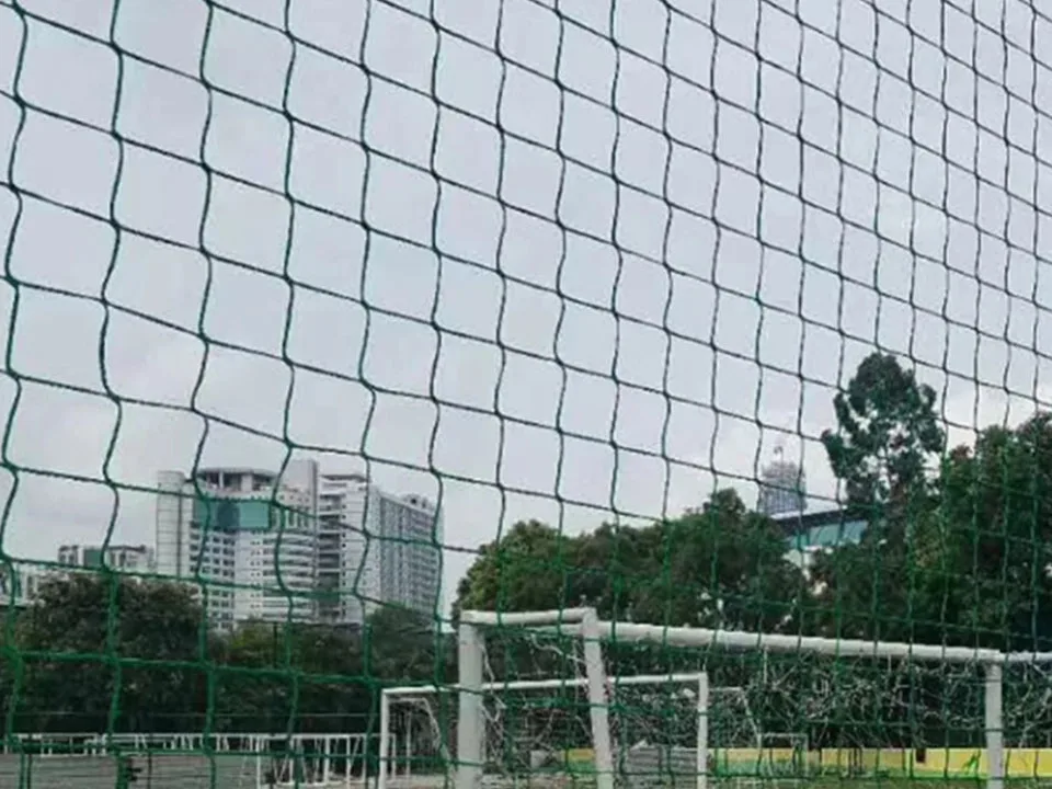 Filet d'entraînement pour l'arrière-cour Filet pour le terrain de golf