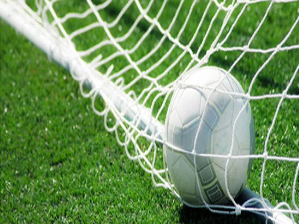 Rete di protezione per palloni Rete di sicurezza per calcio in nylon