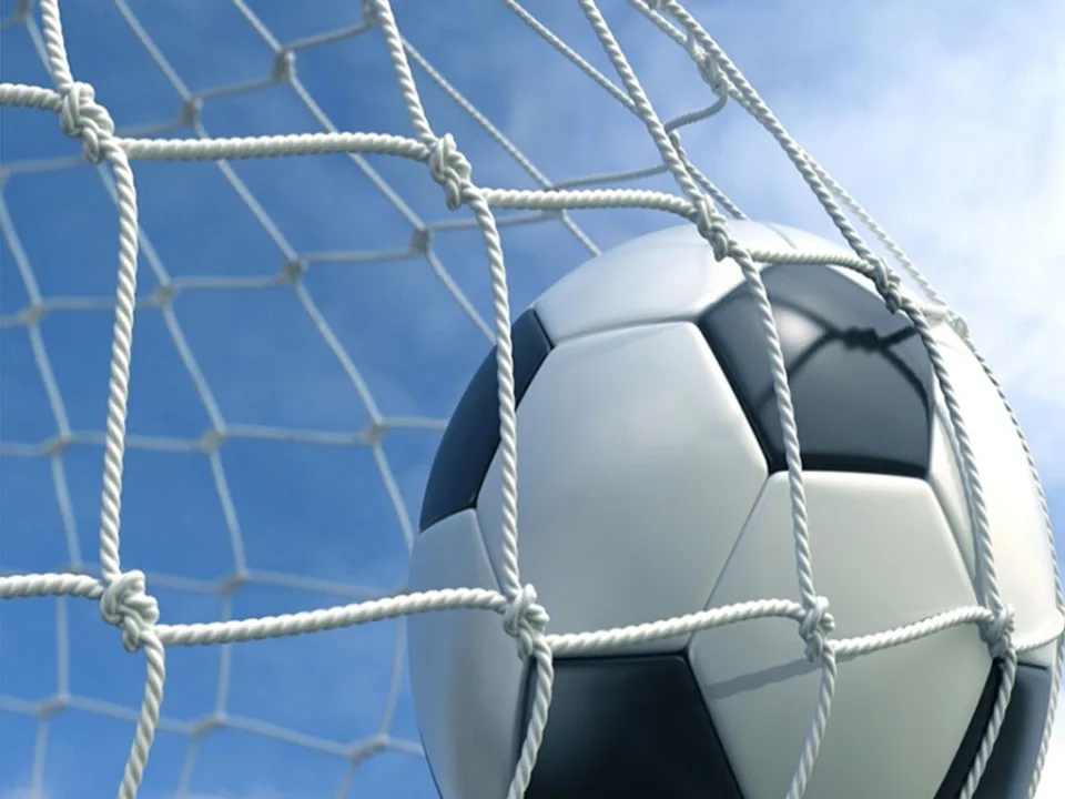 Rete di protezione per palloni Rete di sicurezza per calcio in nylon