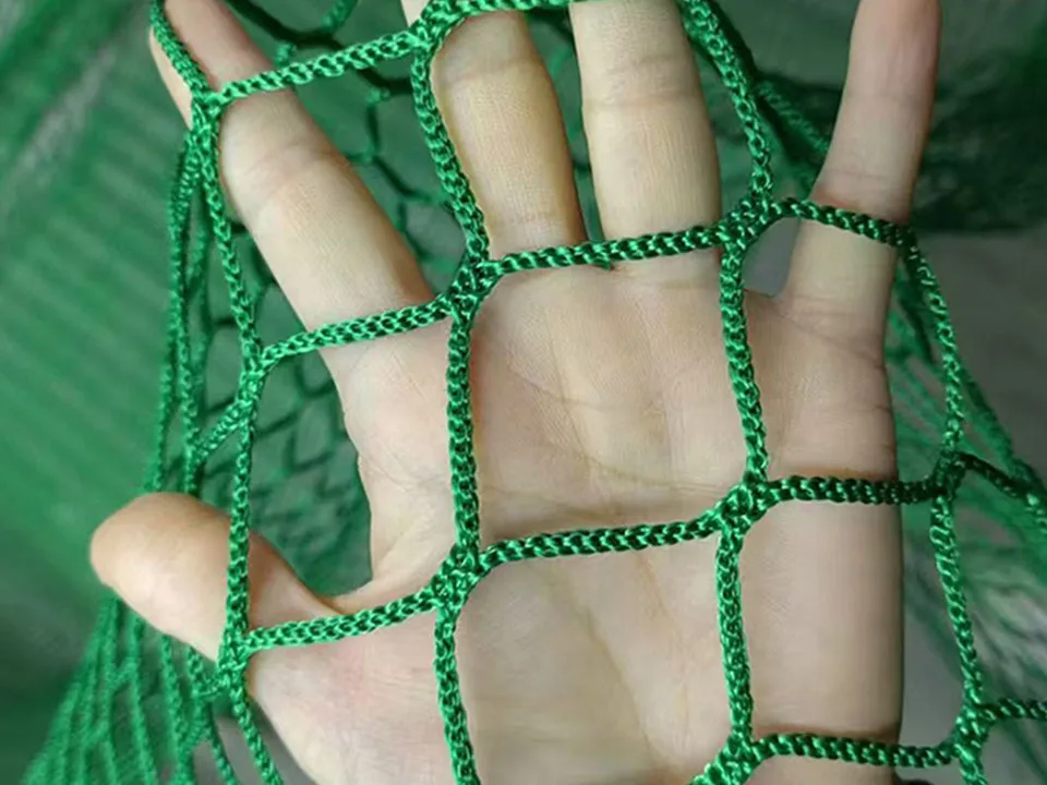 Red deportiva ligera