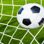 Sports Field Fence Net