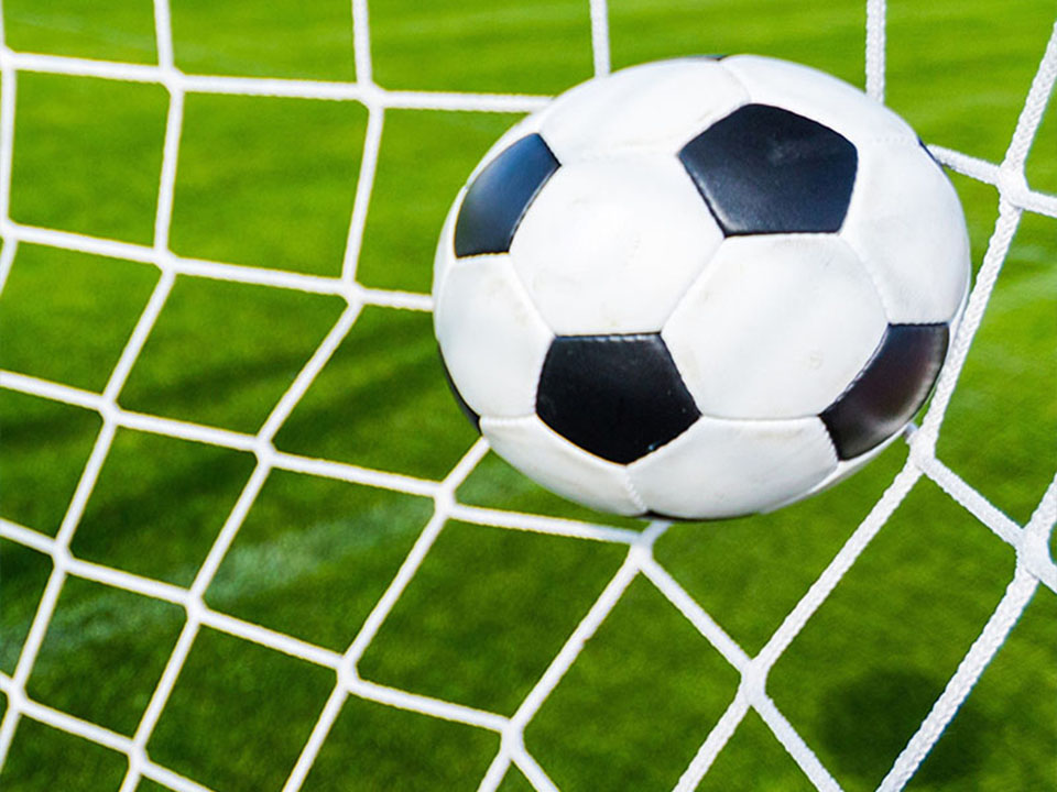 Sports Field Fence Net