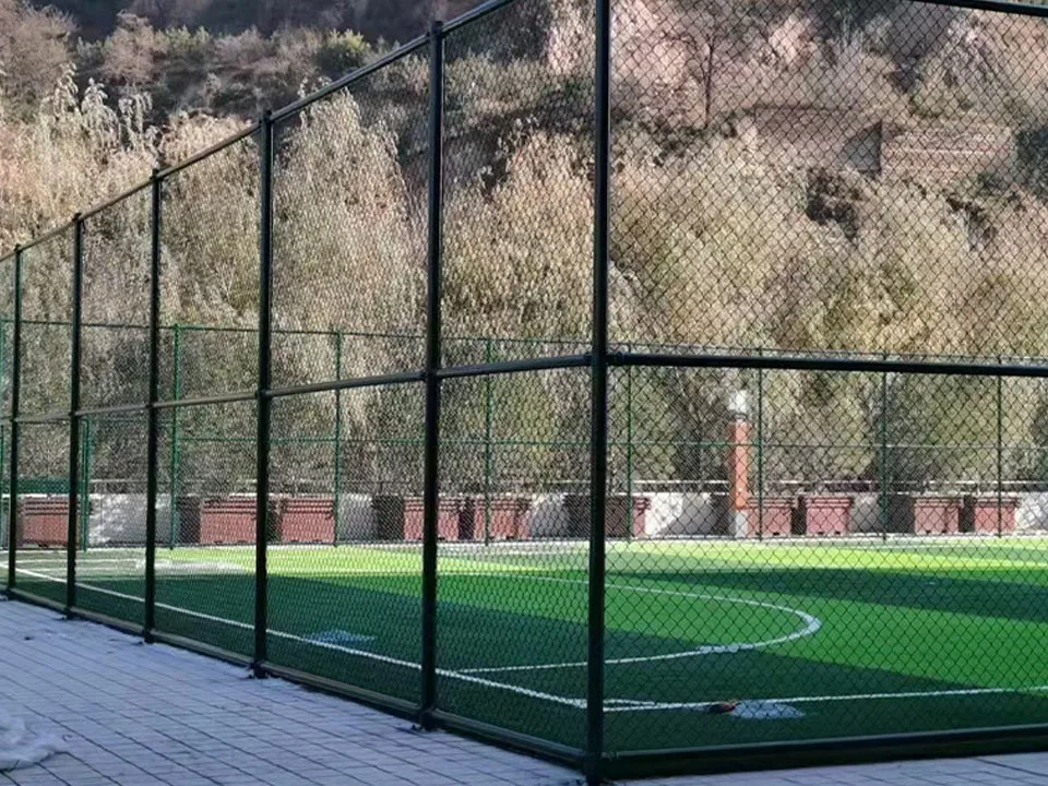 Tennis fence court dedicated stadium