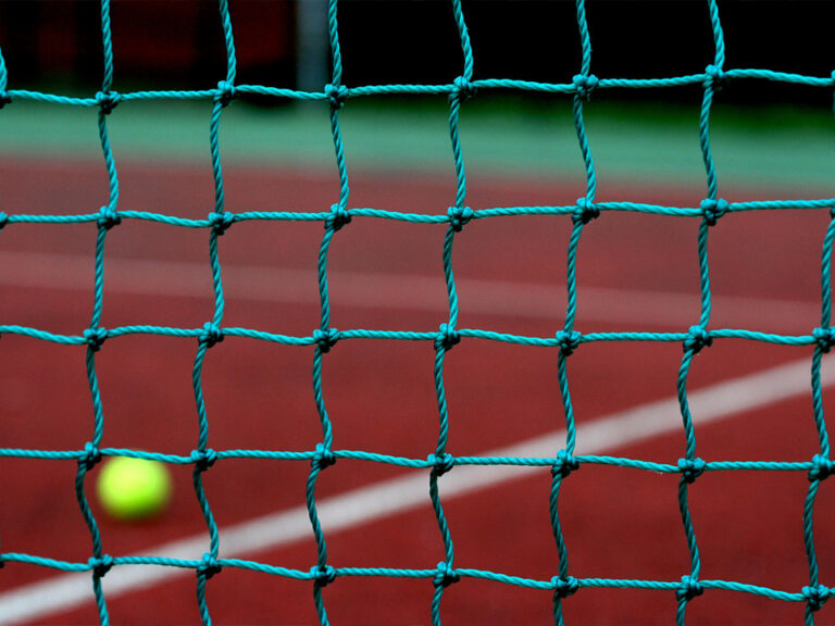 multi-sport netting system
