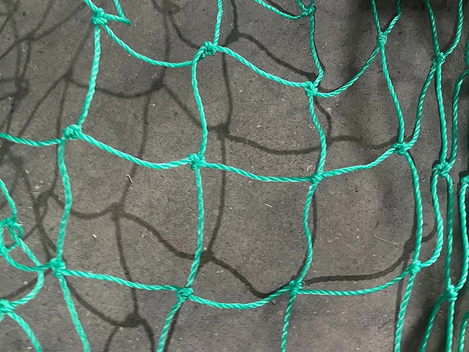 マルチスポーツ・ネット・システム