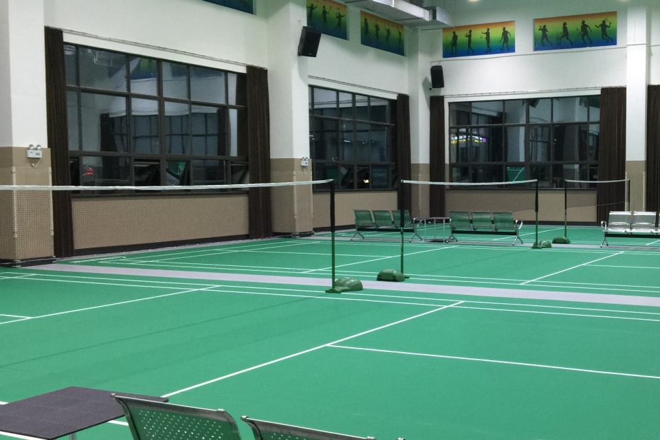 Badminton Net