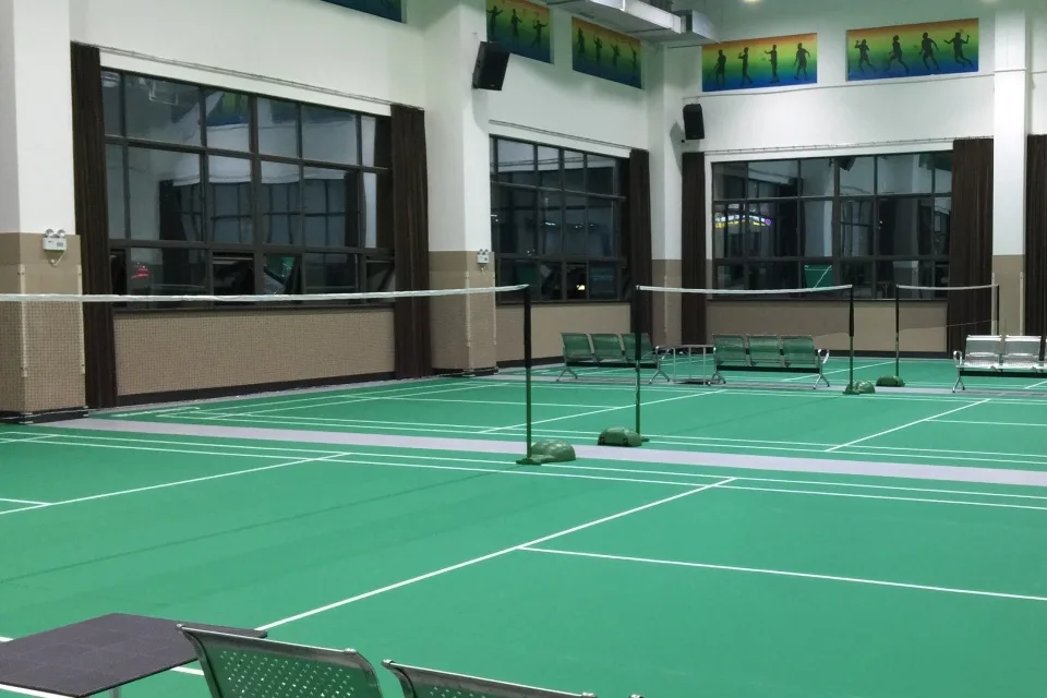 Badminton Netz
