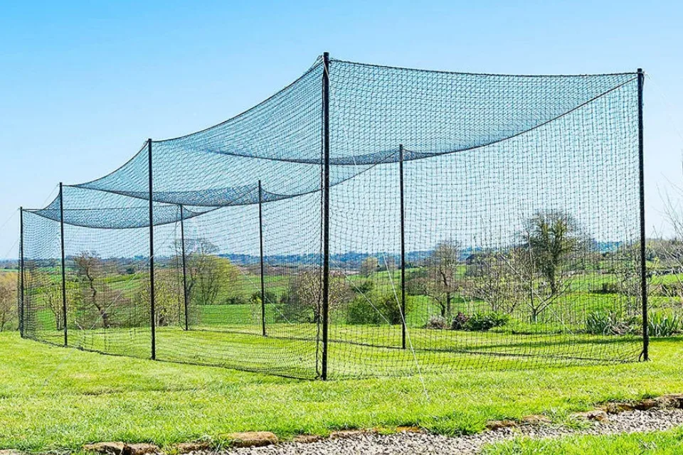 Baseball-Netz