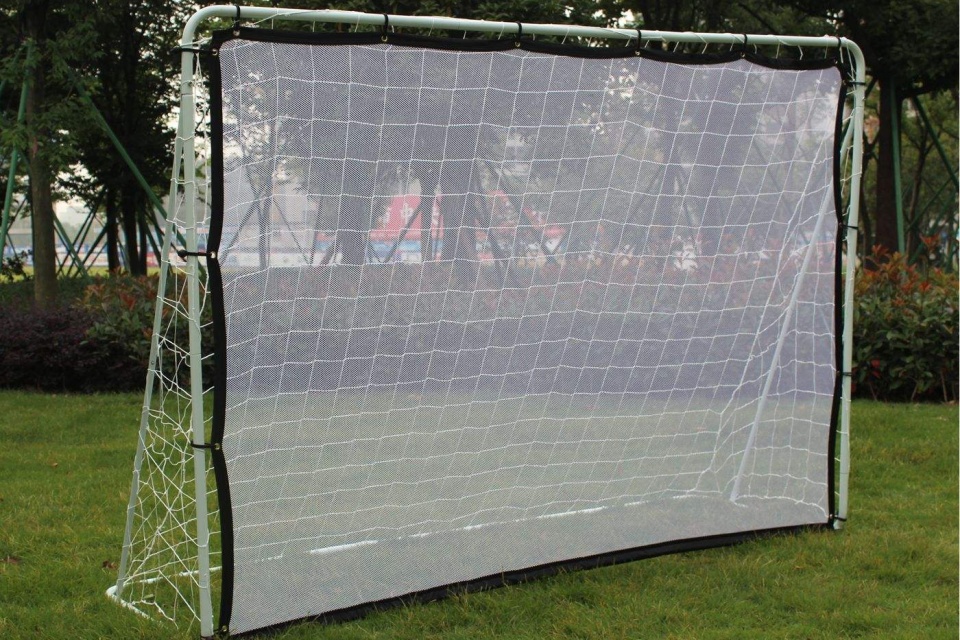 هدف كرة القدم