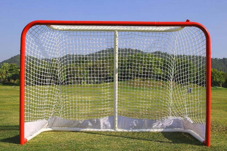 Хоккейный гол