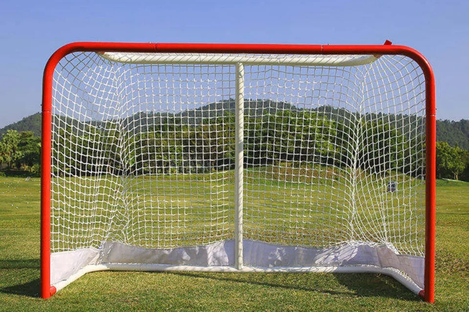 Eishockey-Tor
