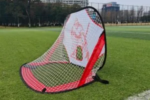 Lacrosse-Tor