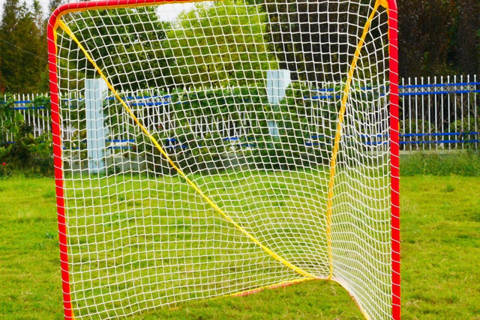 Portería de lacrosse