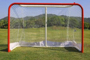 Хоккейный гол