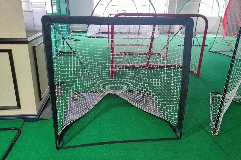 Porta di lacrosse