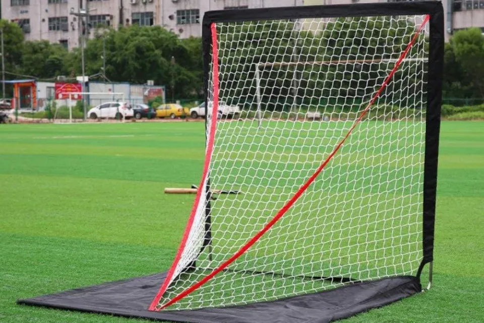 Porta di lacrosse