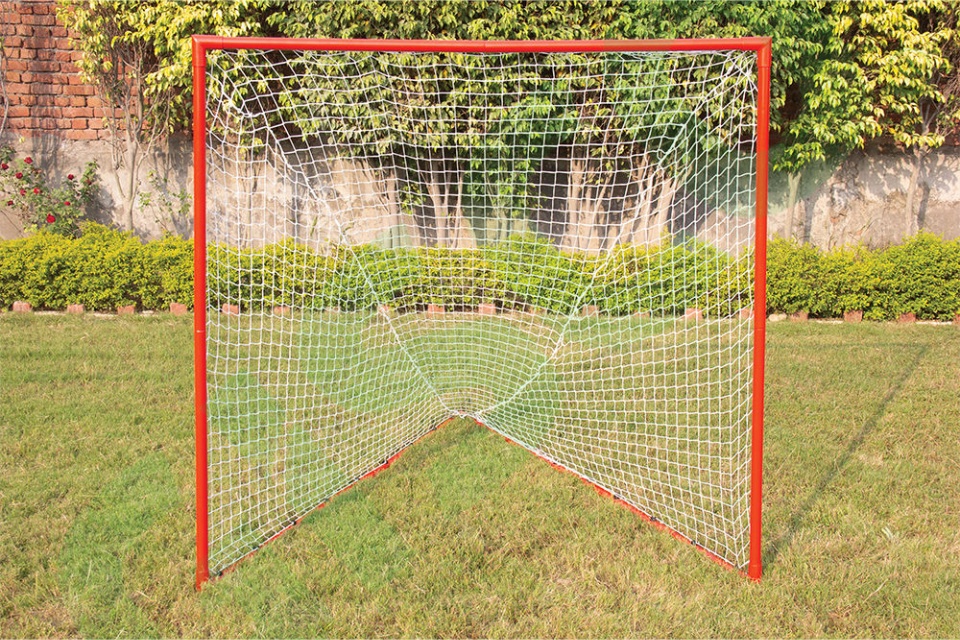 ラクロス・ゴール