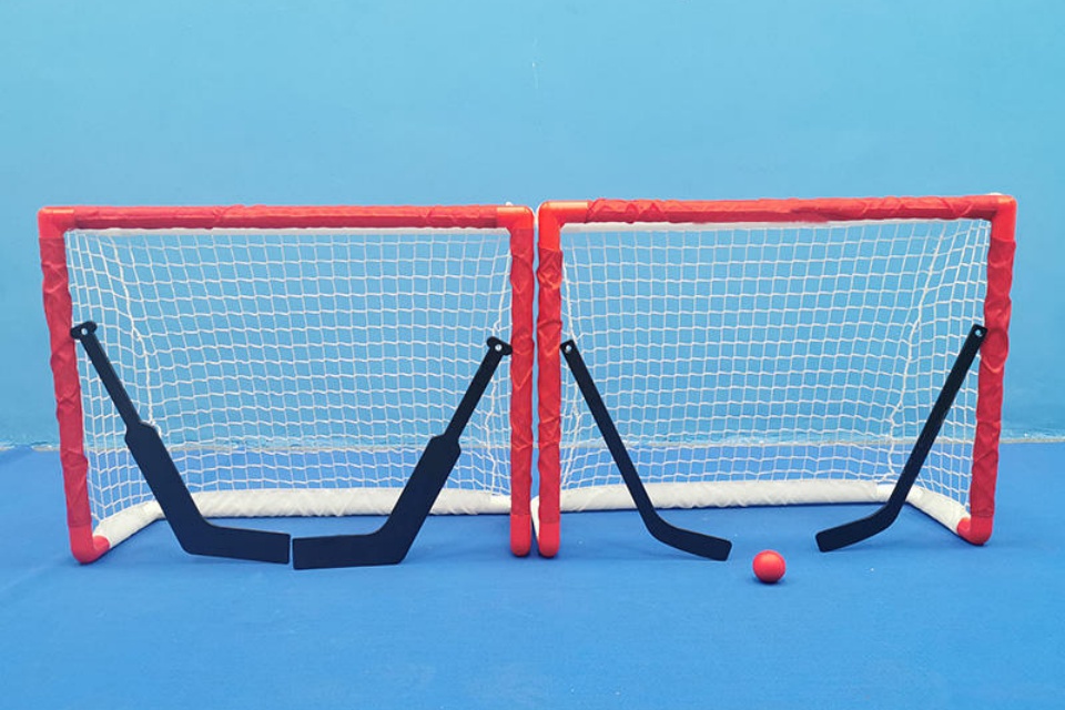 ラクロス・ゴール