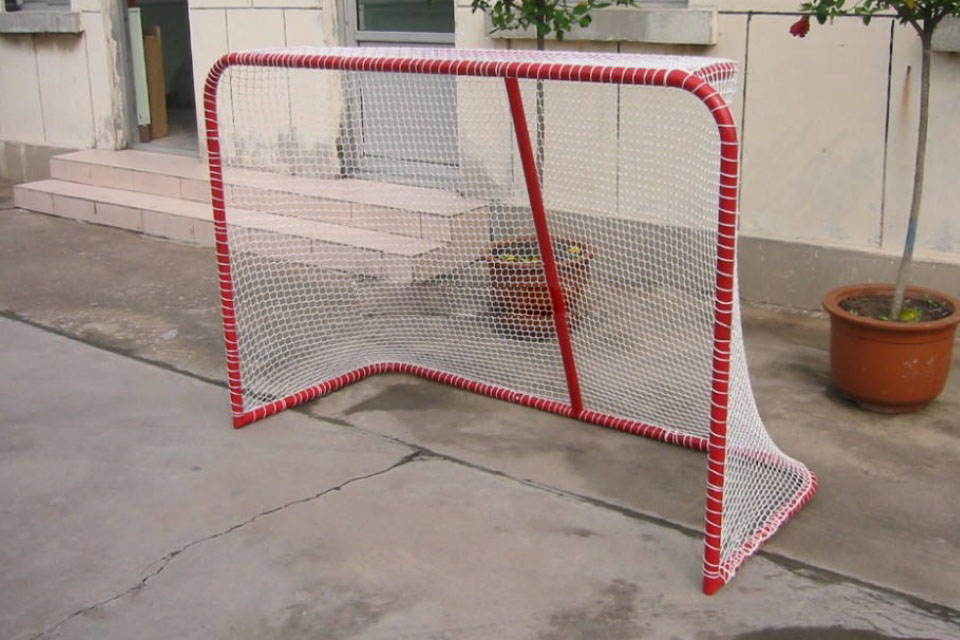 Golo de lacrosse