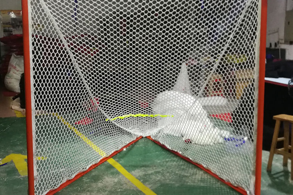 Lacrosse Goal