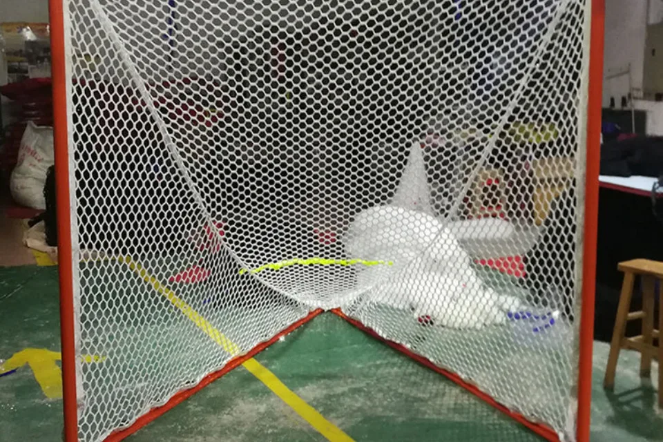 Golo de lacrosse