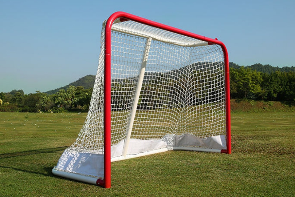 Golo de lacrosse
