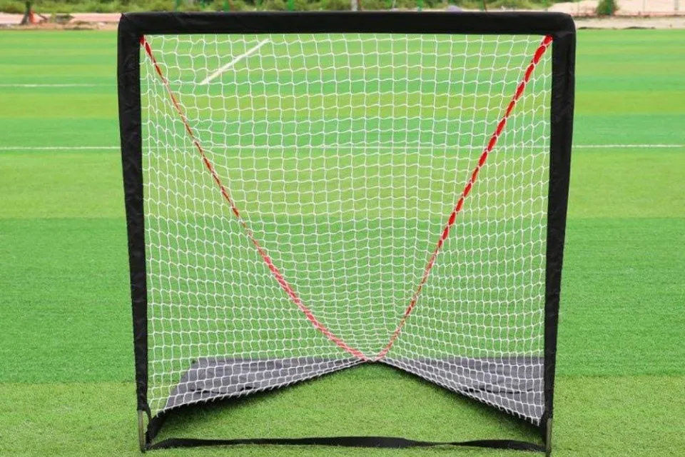 Lacrosse-Tor